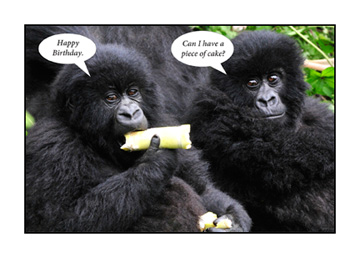 gorillas-hb-cake
