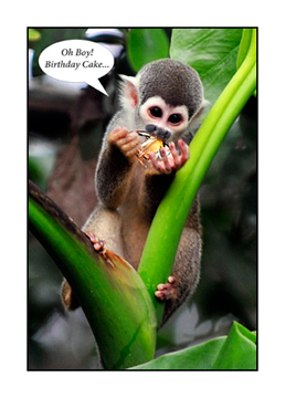 monkey-hb-cake